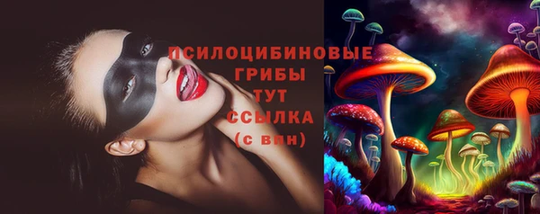 дмт Горняк