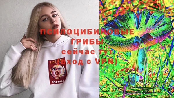 хмурый Гусиноозёрск