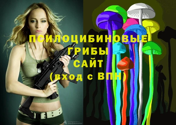 марки lsd Гусь-Хрустальный