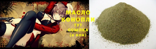 дмт Горняк
